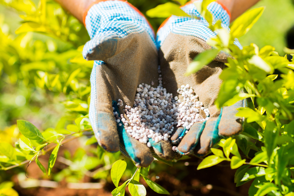 Agriculture Fertilizer