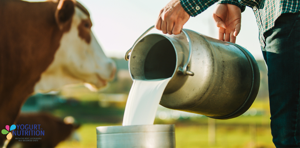 Dairy